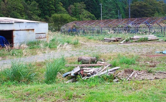 No1 【土地放棄コラム】耕作放棄地の現状 放棄後の再生利用方法について