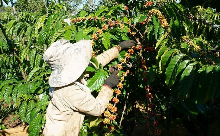 No2 「土地生産性」とは?負動産に土地生産性がない理由について解説