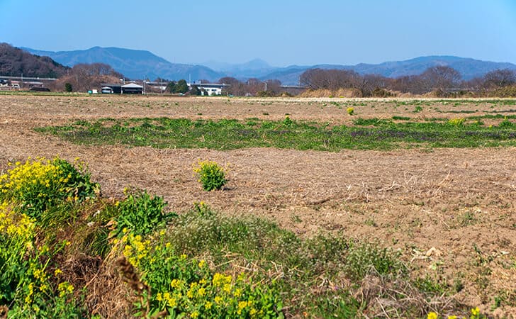 別荘・別荘地の処分