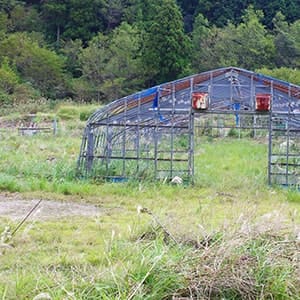 耕作放棄地問題の原因