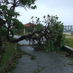 危険とされる別荘地の特徴